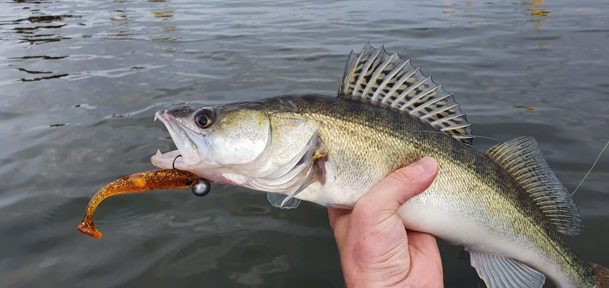 Titelseite 34 Titelseite -Günstiges Lockgeschäft 2