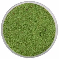 Titelseite -Günstiges Lockgeschäft Shallow Water 1280x1280