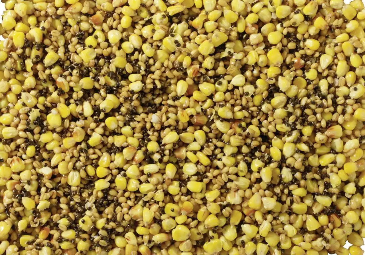 Pelzer Carp Corn Partikel Mix 800g 4 Pelzer Carp Corn Partikel Mix 800g – Bild 2