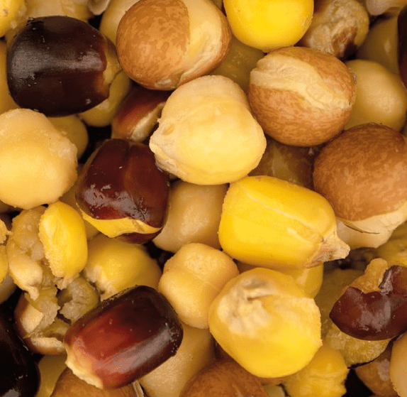 Nash Large Seed Mix 2,5 Liter 4 Nash Large Seed Mix 2,5 Liter – Bild 2