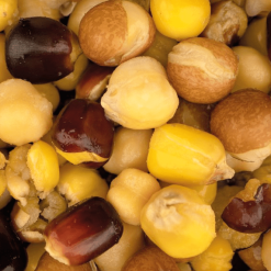 Nash Large Seed Mix 500 Ml -Günstiges Lockgeschäft largeseedmix 1280x1280