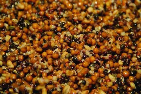 Dynamite Baits Frenzied Particels Mixed 600g 4 Dynamite Baits Frenzied Particels Mixed 600g – Bild 2