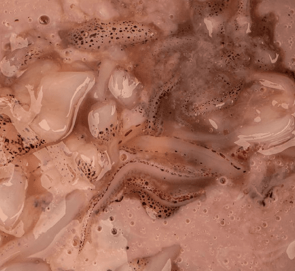 Nash Mussel Blend 500 Ml 4 Nash Mussel Blend 500 Ml – Bild 2