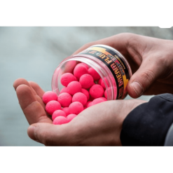 Zadravec Baits Dream Fluo Pop Up Mango 16 Mm 60 G -Günstiges Lockgeschäft pup up mango beispiel 1280x1280