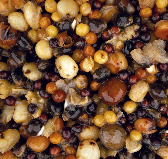 Nash Small Seed Mix 2,5 Liter 4 Nash Small Seed Mix 2,5 Liter – Bild 2