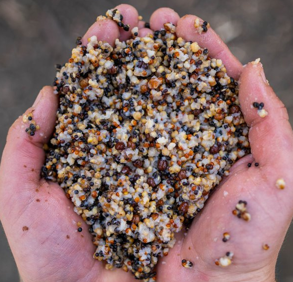 Nash Small Seed Mix 500 Ml 4 Nash Small Seed Mix 500 Ml – Bild 2